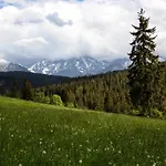 Za Potokiem Komfortowe W Sercu Bukowiny Tatrzanskiej Appartamento *